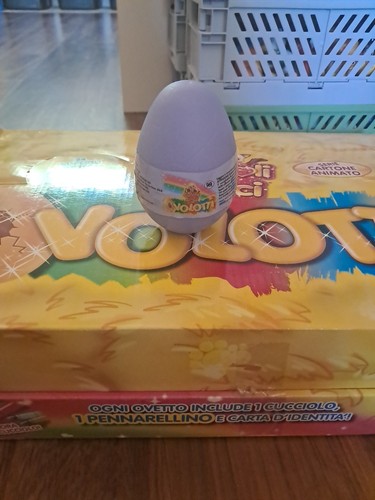 Ovolotti cuccioli cerca - ovolotti,