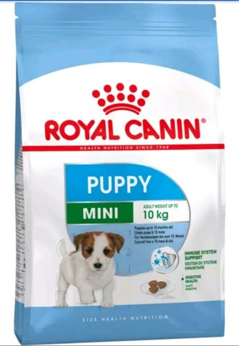 Mini puppy royal - puppy, 8