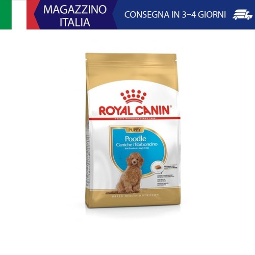 Royal canin poodle puppy 3 - puppy,