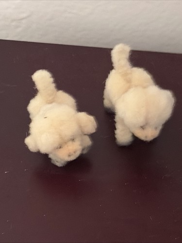 Set cani cuccioli - set,