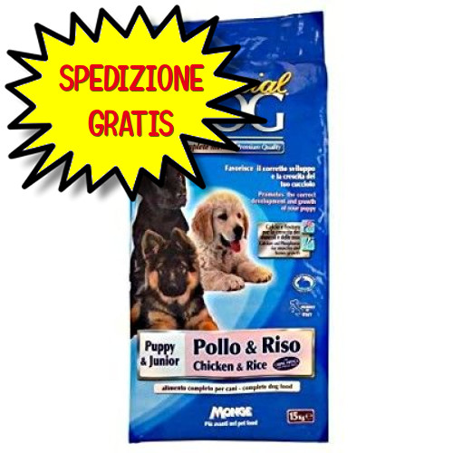 Special dog puppy junior - dog,