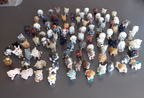 Cuccioli cerca amici lotto - cerca, 98