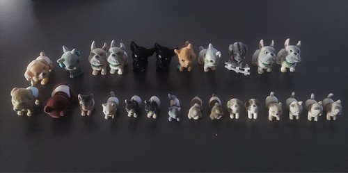 Cuccioli cerca amici magico - cerca,